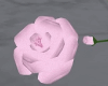 Wedding Floor Roses Pink