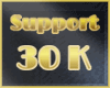30000 support