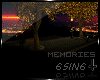 S†N MEMORIES