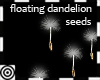 *m Dandelion Seeds Float