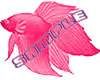 PinkFish-FL
