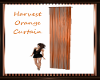 ~HS~Orange Curtain