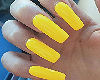 Small Hands