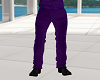 [DS] Casual Purple Pants