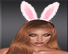 7ly Bunny Ears