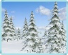 [MAU] SNOW FIR TREE