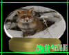 Fox Snow Globe 