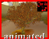autumn tree - animated 