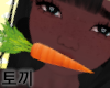 T|兔子 Carrot