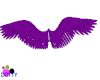Angel wings violet