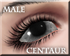 Centaur Eyes