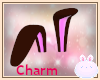 C| Charm Ears