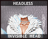 Invisible Head