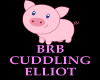 *JC*BRB Elliot Pig
