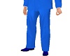 LC Blue Pants C1