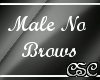 {CSC} No Brows Male