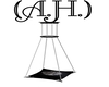 (A.H.)H.D. Ceiling Swing