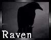 |R| Raven 5