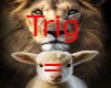 Lions/sheep