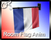 France Room Flag Anim