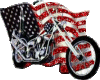 American Flag / Bike