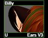 Billy Ears V3