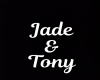 Jade & Tony Necklace/F