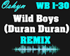 Wild Boys - Remix