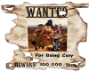 [Nez] Wanted Poster