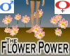 Flower Power -v1b