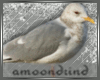 AM:: Seagull Enhancer