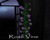AV Purple Rose Vine