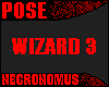 Wizards Pose 3