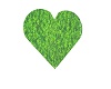 Green Heart Rug
