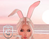 Blonde Bunny Ears