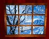 Winters Delight Window