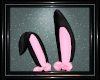Bunny Ears