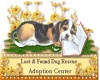 Animal Adoption Sticker