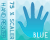 !BS 75 % Hand Scale F