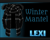 Winter Mantel v2