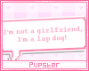 lapdog | gf