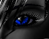blue cat's fur eyes M