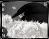 Santa Hat M