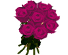 ® Dark Pink Roses