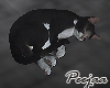 PJ🐱Sleeping Cat
