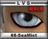 LVSPARKLEIs-M-SeaMist