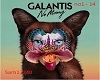 Galantis "No Money"