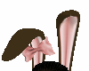 chocolate bunny ears