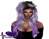 Lilac/Black Long Curly