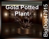 [BD] Gold Potted Plant